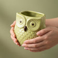 Elegant Ceramic Owl Planter, Pack of 1, Classic Square Design