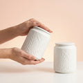 Dives Clay Ceramic Storage Jars, Pack of 2, White