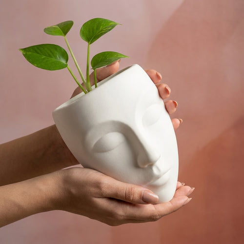 Alluring Vases, Pack of 1, Classic Style